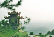 Thiền Trúc Lâm