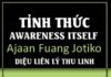 Tỉnh Thức Awareness Itself (sách)