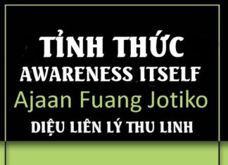 Tỉnh Thức Awareness Itself (sách)