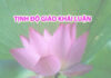 Tịnh Độ Giáo Khái Luận