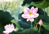 Tản Mạn Tâm Tư