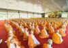 Tu Tập Tâm Linh Và Hộ Trì Chánh Pháp Trong Mùa An Cư Kiết Hạ
