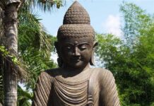 Câu Xá Luận (sách)