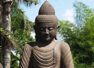 Câu Xá Luận (sách)