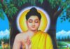 Chắp Tay Lạy Người (sách PDF)
