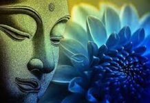 Vô Thường và Vô Ngã trong Kinh Pháp Cú