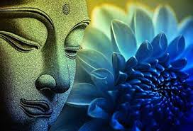 Vô Thường và Vô Ngã trong Kinh Pháp Cú
