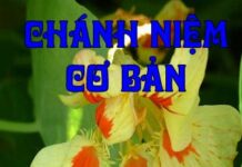 Chánh Niệm Cơ Bản