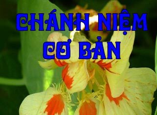 Chánh Niệm Cơ Bản