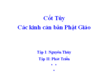 Cốt Tủy Các Kinh Căn Bản Phật Giáo