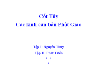 Cốt Tủy Các Kinh Căn Bản Phật Giáo