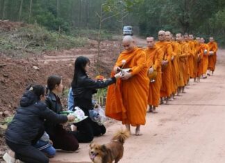 Tu Giải Thoát: Bố Thí, Cúng Dường…