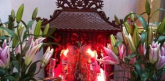 Từ Lời Phật Dạy Trong Kinh Trường Bộ Nghĩ Về Việc Cầu, Cúng Thần Tài.
