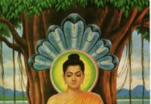 Ba Phương Diện Chính Của Con Đường Giác Ngộ