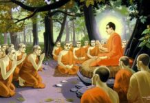 Tu pháp gì không gặp ác đời sau?