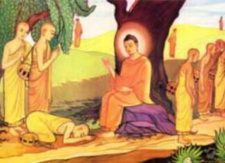 Tu Có Chuyển Được Nghiệp Hay Không?