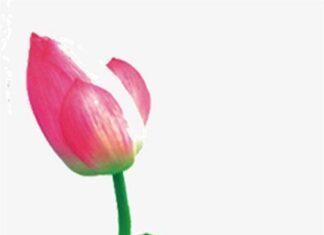 Trân trọng những gì mình đang có và chấp nhận những gì mình đã mất