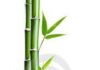 Bản thể luận & đạo đức luận của Phật giáo qua pháp môn “Bất nhị”