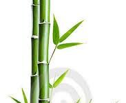 Bản thể luận & đạo đức luận của Phật giáo qua pháp môn “Bất nhị”