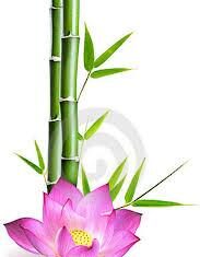 Bản thể luận & đạo đức luận của Phật giáo qua pháp môn “Bất nhị”