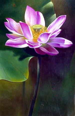 lotus_7 lotus_7