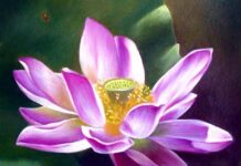 Đối phó với những cảm xúc phiền não như thế nào?