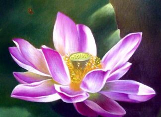 Đối phó với những cảm xúc phiền não như thế nào?