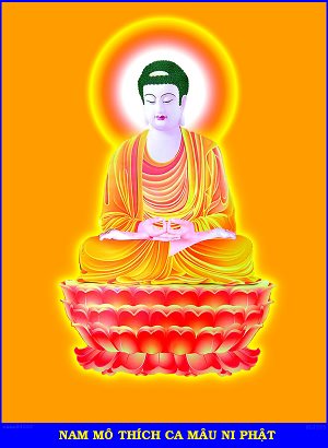 Phat_Thich_Ca_11
