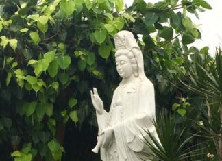 Nghi thức tụng Kinh Phổ Môn (Thể thơ Lục bát)