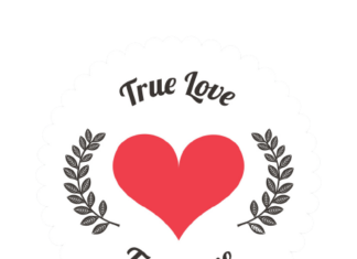 True Love / Tình Yêu Chân Thật