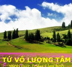 Tứ Vô Lượng Tâm