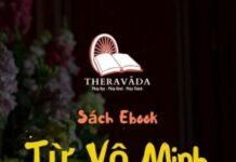 Từ Vô Minh Đến Minh