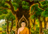 Uy lực của giới