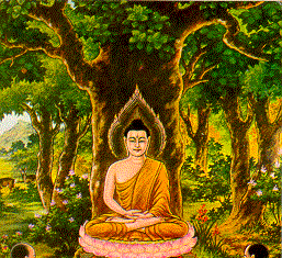 Uy lực của giới