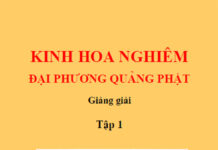 Kinh Hoa Nghiêm (trọn bộ 25 tập)