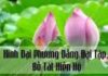 Kinh Đại Phương Đẳng Đại Tập, Bồ Tát Hiền Hộ