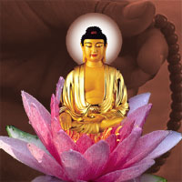 Kinh A Di Đà dịch nghĩa