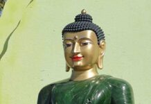 Trùng Trị Tỳ Ni