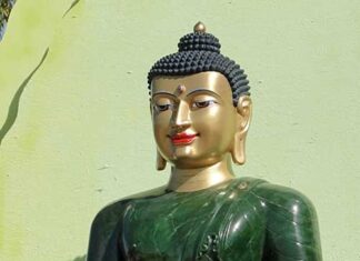 Trùng Trị Tỳ Ni