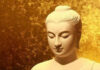 Tỳ-nại-da Tạp Sự
