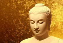 Tỳ-nại-da Tạp Sự