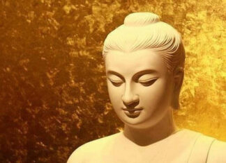 Tỳ-nại-da Tạp Sự