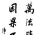 Người tu hành không lầm nhân quả (Vietnamese-English)