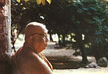Vái Nét Vè Nhà Sư Buddhadasa