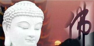 Vijñapti-mātratā, Duy Thức hay Duy Biểu?