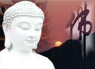 Vijñapti-mātratā, Duy Thức hay Duy Biểu?