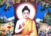 Tứ Thánh Đế Là Tối Thượng