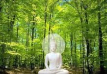 Tư Tưởng Bình Đẳng Của Đức Phật