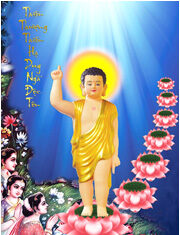 Ý Nghĩa Duy Ngã Độc Tôn