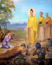 Công dụng của giới đức